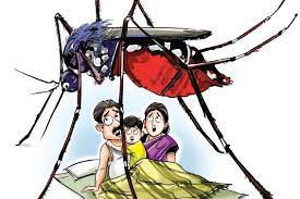 चिंतन : घातक साबित होती डेंगू के प्रकोप की अनदेखी चिंतन : घातक साबित होती डेंगू के प्रकोप की अनदेखी