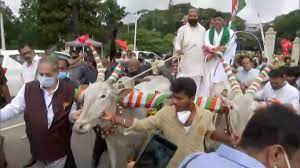 बैलगाड़ी पर सवार होकर विधानसभा पहुंचे डीके शिवकुमार व पूर्व सीएम सिद्धारमैया 