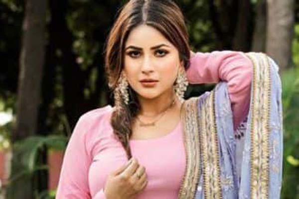 सदमे से उबरते हुए अब अपने प्रोफेशनल कमिटमेंट पूरी करने में जुटीं शहनाज गिल सदमे से उबरते हुए अब अपने प्रोफेशनल कमिटमेंट पूरी करने में जुटीं शहनाज गिल