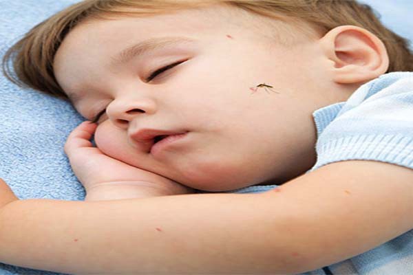 बच्चों को इस प्रकार मच्छरों से बचाएं बच्चों को इस प्रकार मच्छरों से बचाएं