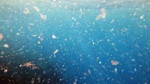 नसों तक में दौड़ रही प्लास्टिक की धूल खून के साथ  -महासागरों की गहराइयों तक में पहुंचने लगे हैं प्लास्टिक के कण 