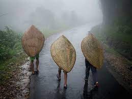 मेघालय में रिकॉर्डतोड़ वर्षा, अगले 5 दिन बिहार, झारखंड, ओडिशा और प. बंगाल में गरज-बिजली-आंधी-पानी  
