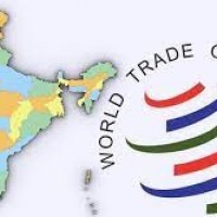  भारत को डब्ल्यूटीओ में जिम्मेदार ठहराएं बाइडन!: अमेरिकी सांसद - अमे‎‎रिकी ‎किसानों और पशुपालकों को प्रभा‎वित कर रहे हैं भारत के व्यापार के विकृत तरीके 