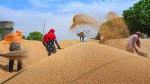 अन्न संकट झेल रहे अफगानिस्तान की मदद करेगा भारत पाक के रास्ते फरवरी में भेजेगा गेहूं अन्न संकट झेल रहे अफगानिस्तान की मदद करेगा भारत पाक के रास्ते फरवरी में भेजेगा गेहूं