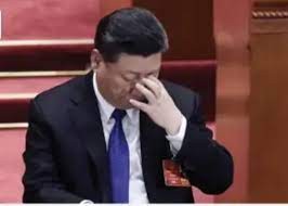 सेरेब्रल एन्यूरिज्म से पीड़ित हैं चीन के राष्ट्रपति शी जिनपिंग, करा रहे पारंपरिक इलाज