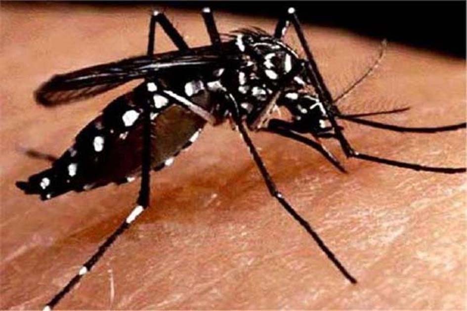 बच्चों को इस प्रकार मच्छरों से बचाएं बच्चों को इस प्रकार मच्छरों से बचाएं