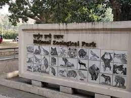 2 महीने बाद खुला दिल्ली का चिड़ियाघर पर्यटकों को ऑनलाइन टिकट बुकिंग में हुई परेशानी 2 महीने बाद खुला दिल्ली का चिड़ियाघर पर्यटकों को ऑनलाइन टिकट बुकिंग में हुई परेशानी