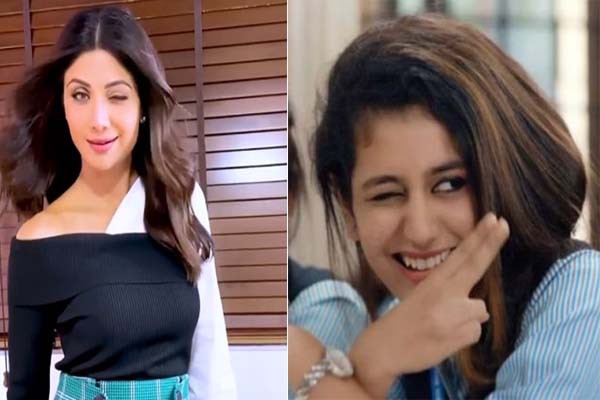 बॉलीवुड ठुमका क्वीन शिल्पा शेट्टी का आंखमार वीडियो वायरल, प्रिया प्रकाश वारियर को दे रही टक्कर बॉलीवुड ठुमका क्वीन शिल्पा शेट्टी का आंखमार वीडियो वायरल, प्रिया प्रकाश वारियर को दे रही टक्कर
