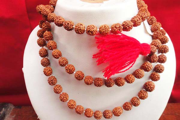 विधानपूर्वक रुद्राक्ष धारण करने से पूर्ण होते हैं सकल मनोरथ विधानपूर्वक रुद्राक्ष धारण करने से पूर्ण होते हैं सकल मनोरथ