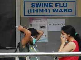 कोरोना के बीच असम में फैला अफ्रीकी स्वाइन फ्लू, 14,000 से अधिक सूअरों की मौत कोरोना के बीच असम में फैला अफ्रीकी स्वाइन फ्लू, 14,000 से अधिक सूअरों की मौत