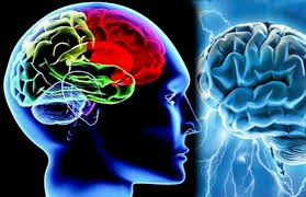 अमेरिका में डॉक्टरों ने किया मनुष्य के मस्तिष्क को खाने वाले अमीबा का खुलासा अमेरिका में डॉक्टरों ने किया मनुष्य के मस्तिष्क को खाने वाले अमीबा का खुलासा