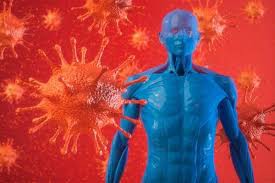 एंटीबॉडी बन जाने के बाद दोबारा कोरोना वायरस के संक्रमण का खतरा नहीं