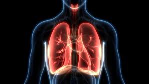  सांस को कुछ समय के लिए होल्ड करना भी जरुरी -ऑक्सीजन ब्लड के फ्लो को रेग्युलेट करने में सहायक