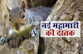 कोरोना के बाद अब बुबोनिक प्लेग का कहर -चीन के बयन्नूर शहर में हेल्थ वॉर्निंग जारी कोरोना के बाद अब बुबोनिक प्लेग का कहर -चीन के बयन्नूर शहर में हेल्थ वॉर्निंग जारी