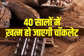 चाकलेट की खपत में 13 फीसदी की दर से इजाफा -ग्लोबल वार्मिंग से चाकलेट के खत्म होने की आशंका चाकलेट की खपत में 13 फीसदी की दर से इजाफा -ग्लोबल वार्मिंग से चाकलेट के खत्म होने की आशंका