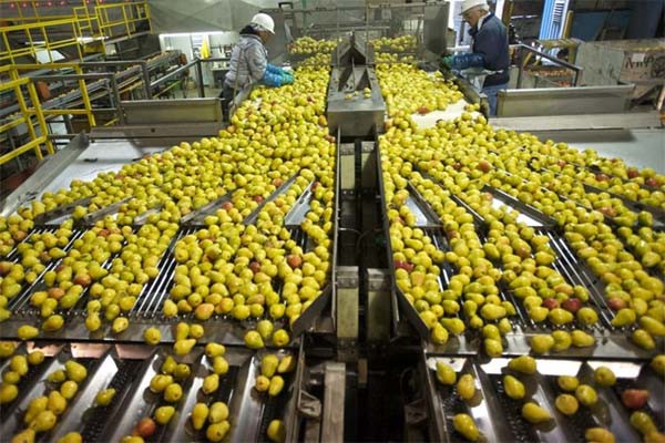खाद्य प्रसंस्करण क्षेत्र में बनायें कॅरियर खाद्य प्रसंस्करण क्षेत्र में बनायें कॅरियर