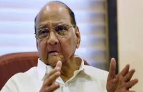 शरद पवार की संपत्ति 6 साल में 60 लाख रुपये तक बढ़ी शरद पवार की संपत्ति 6 साल में 60 लाख रुपये तक बढ़ी