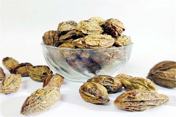 स्वस्थ रहने करें हरड़ का उपयोग स्वस्थ रहने करें हरड़ का उपयोग
