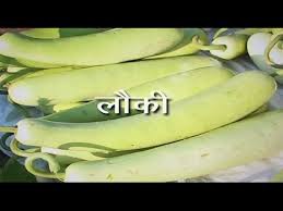 मौसमी बीमारियों से बचाती है लौकी -यह है लौकी खाने का सही तरीका मौसमी बीमारियों से बचाती है लौकी -यह है लौकी खाने का सही तरीका