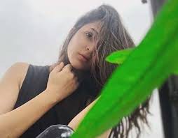 (रंगसंसार) लावण्या दें रही 'गो ग्रीन' को बढ़ावा, शेयर किया पोस्ट (रंगसंसार) लावण्या दें रही 'गो ग्रीन' को बढ़ावा, शेयर किया पोस्ट