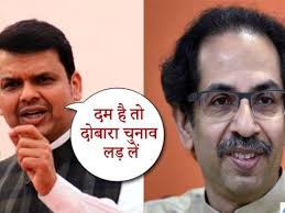  महाराष्ट्र में भाजपा अकेले ही कांग्रेस, एनसीपी और शिवसेना को हरा देगी - फडणवीस