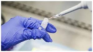 सूक्ष्म मानव अंगों का इस्तेमाल करने वाली तकनीकी से कोरोना पर अनुसंधान की तैयारी 