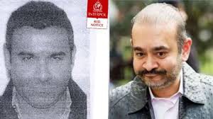 नेहल मोदी के खिलाफ जारी रेड कॉर्नर नोटिस पब्लिक व्यू में वापस आया, जल्द गिरफ्तारी का रास्ता साफ नेहल मोदी के खिलाफ जारी रेड कॉर्नर नोटिस पब्लिक व्यू में वापस आया, जल्द गिरफ्तारी का रास्ता साफ