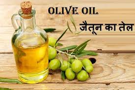 ऑलिव ऑइल के फल और पत्ते होते है गुणकारी -टाइप-2 डायबीटीज का खतरा करते हैं कम ऑलिव ऑइल के फल और पत्ते होते है गुणकारी -टाइप-2 डायबीटीज का खतरा करते हैं कम