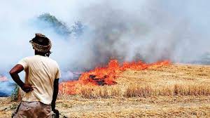 पराली जलापराली जलाने पर 20 से ज्यादा किसानों पर शिकायत दर्जने पर 20 से ज्यादा किसानों पर शिकायत दर्ज पराली जलापराली जलाने पर 20 से ज्यादा किसानों पर शिकायत दर्जने पर 20 से ज्यादा किसानों पर शिकायत दर्ज