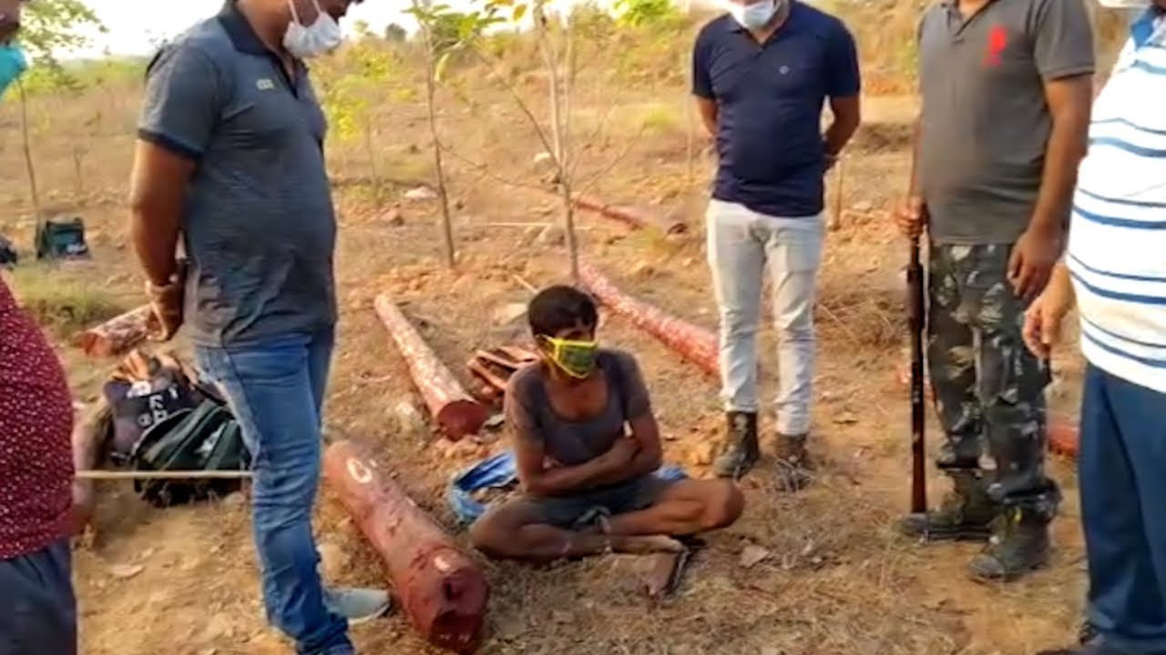 ఏర్పేడు సమీపంలో 15 ఎర్రచందనం దుంగలు స్వాధీనం స్మగ్లర్ అరెస్ట్ ఏర్పేడు సమీపంలో 15 ఎర్రచందనం దుంగలు స్వాధీనం స్మగ్లర్ అరెస్ట్
