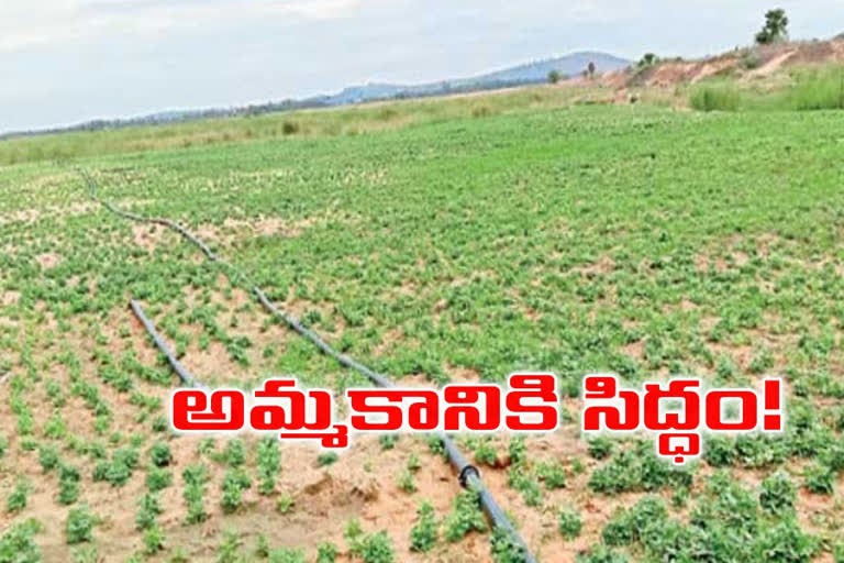 విశాఖలో గుంపగుత్త అమ్మకాలు విశాఖలో గుంపగుత్త అమ్మకాలు