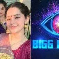 బిగ్ బాస్ లోకి  అలేఖ్య చిట్టి పికెల్స్' సిస్టర్స్