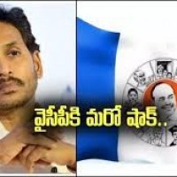 చేజారుతున్న మున్సిపల్ పీఠాలు