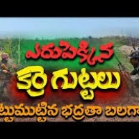 ఎరుపెక్కుతున్న కర్రెగుట్టలు