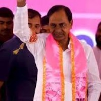 గులాబీ దండు కదం తొక్కాలి...ఓరుగల్లు దద్దరిల్లాలి...
