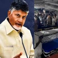 ఘటన కలచివేసింది సీఎం చంద్రబాబు