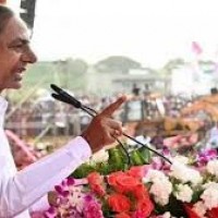 1,213 ఎకరాల్లో గులాబీ సమావేశం