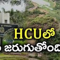 హెచ్ సీ యూలో ఏం జరుగుతోంది