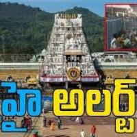 తిరుమలలో గట్టి నిఘా...