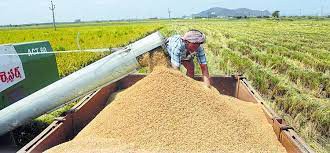 ధాన్యం ఉత్పత్తి అంచనాపై సమీక్ష ధాన్యం ఉత్పత్తి అంచనాపై సమీక్ష