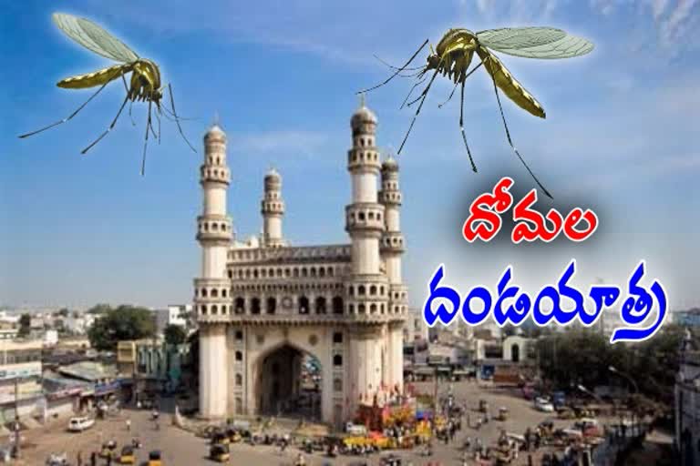 సిటీలో దోమలదండయాత్ర