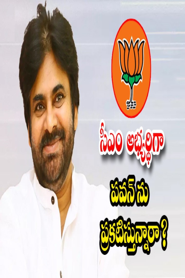 బీజేపీ సీఎం అభ్యర్ధిగా పవన్ బీజేపీ సీఎం అభ్యర్ధిగా పవన్