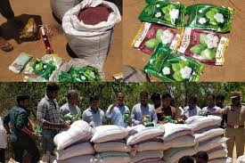 ముంచేస్తున్న నకిలీ విత్తనాలు ముంచేస్తున్న నకిలీ విత్తనాలు