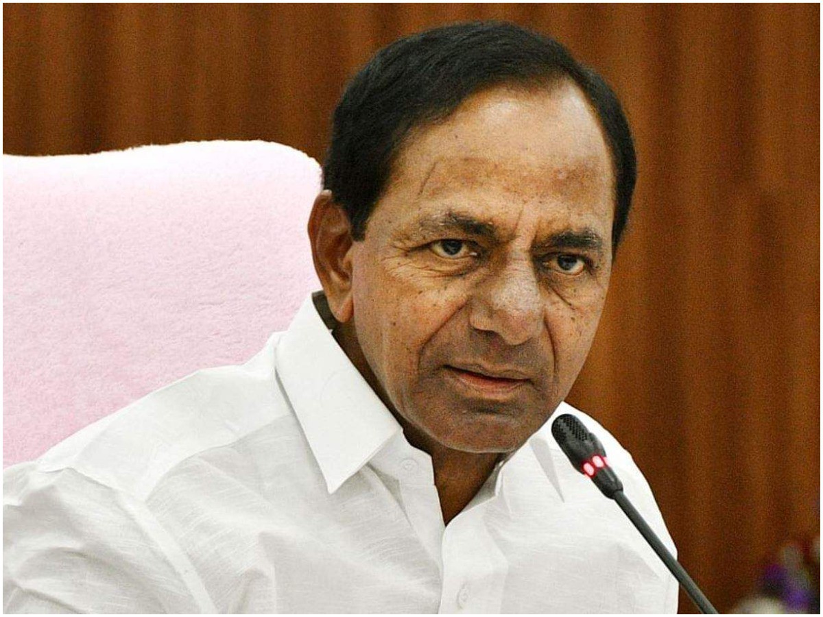 గులాబీకి మిశ్రమ ఫలితాలిచ్చిన 2021 గులాబీకి మిశ్రమ ఫలితాలిచ్చిన 2021