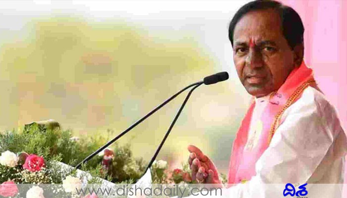 గులాబీకి గడ్డుకాలం గులాబీకి గడ్డుకాలం