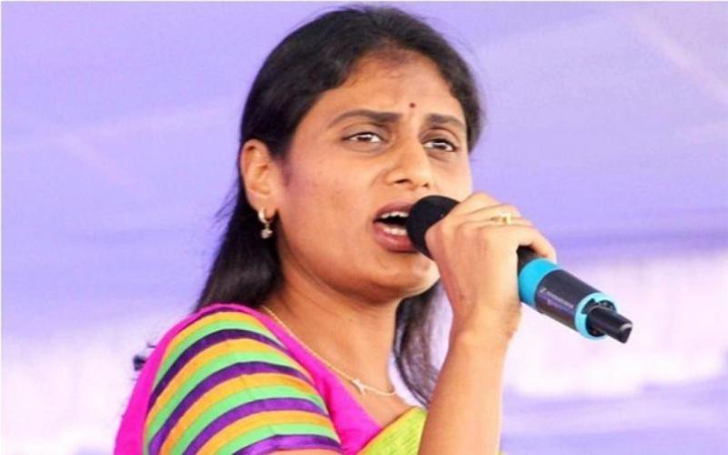 షర్మిల వెంట నడిచేదెవరు షర్మిల వెంట నడిచేదెవరు