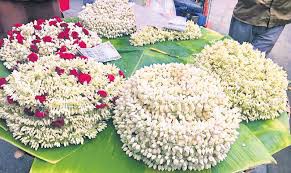 అ`ధర` గొడుతున్న మల్లెపూలు అ`ధర` గొడుతున్న మల్లెపూలు