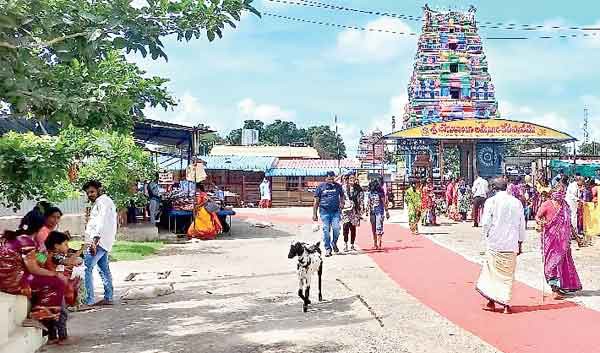 ఛైర్మన్ కోసం బేరసారాలు ఛైర్మన్ కోసం బేరసారాలు