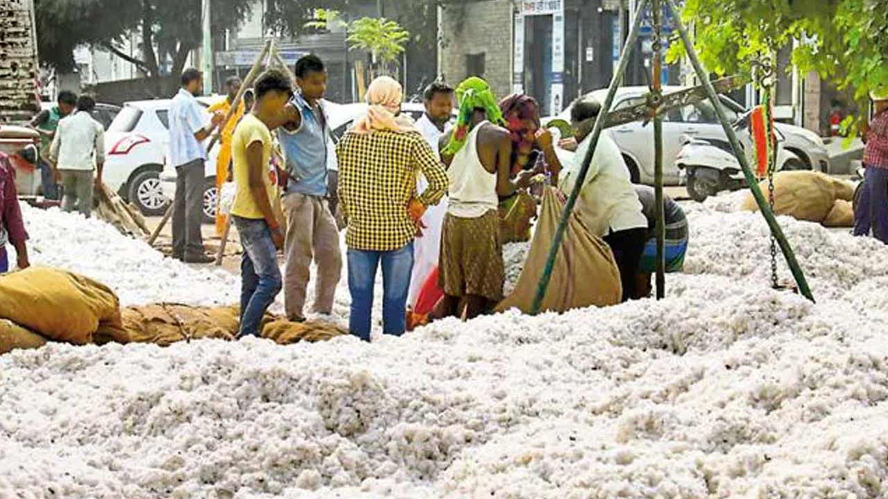 10 వేలు  దాటిన తెల్లబంగారం