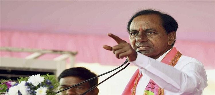 గులాబీ బాస్ ఇమేజ్ పెంచే పనిలో పీకే గులాబీ బాస్ ఇమేజ్ పెంచే పనిలో పీకే